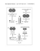 RELIABILITY OF ASSAYS USING A MULTI-DIVOT PLATFORM AND MULTI-SOURCE,     MULTI-CELL TYPE CLUSTERS diagram and image