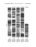 THERMOSTABLE CELLOBIOHYDROLASE AND AMINO ACID SUBSTITUTED VARIANT THEREOF diagram and image