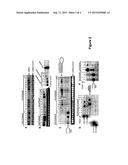 GENE SILENCING METHODS diagram and image