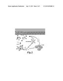 NUCLEIC ACID LIGANDS TO LL37 diagram and image