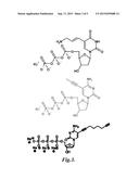 NUCLEIC ACID LIGANDS TO LL37 diagram and image