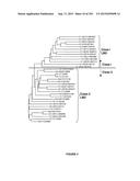 PLANTS HAVING ENHANCED YIELD-RELATED TRAITS AND A METHOD FOR MAKING THE     SAME diagram and image