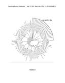 PLANTS HAVING ENHANCED YIELD-RELATED TRAITS AND A METHOD FOR MAKING THE     SAME diagram and image