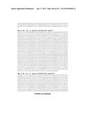 PLANTS HAVING ENHANCED YIELD-RELATED TRAITS AND A METHOD FOR MAKING THE     SAME diagram and image