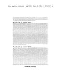 PLANTS HAVING ENHANCED YIELD-RELATED TRAITS AND A METHOD FOR MAKING THE     SAME diagram and image