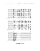 PLANTS HAVING ENHANCED YIELD-RELATED TRAITS AND A METHOD FOR MAKING THE     SAME diagram and image