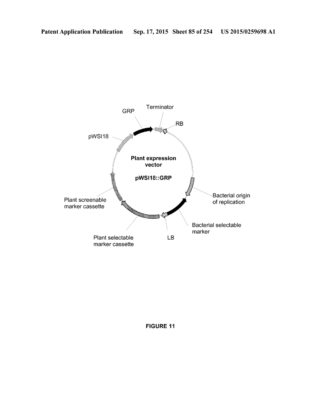 PLANTS HAVING ENHANCED YIELD-RELATED TRAITS AND A METHOD FOR MAKING THE     SAME - diagram, schematic, and image 86