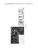 POLYMER COATINGS diagram and image