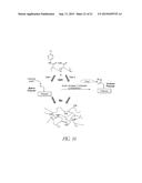 POLYMER COATINGS diagram and image