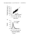 METHODS FOR PREDICTING AGE AND IDENTIFYING AGENTS THAT INDUCE OR INHIBIT     PREMATURE AGING diagram and image