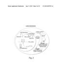 Genetic Lesion Associated With Cancer diagram and image