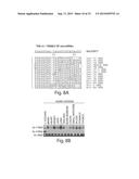 Genetic Lesion Associated With Cancer diagram and image