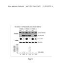 Genetic Lesion Associated With Cancer diagram and image