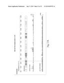 Genetic Lesion Associated With Cancer diagram and image