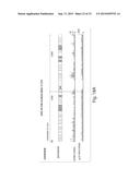 Genetic Lesion Associated With Cancer diagram and image