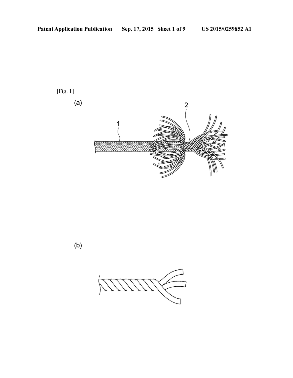 ROPE WITH HOLES - diagram, schematic, and image 02