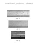 PARTICLE ANALYSIS IN AN ACOUSTIC CYTOMETER diagram and image