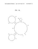 UNIVERSAL  NUCLEIC  ACID  APTAMERS  FOR COMMONLY  BINDING  TO  VARIOUS     TYPES  OF MICROORGANICMS  AND  METHOD  OF  PRODUCING  THE  SAME diagram and image