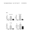 Method for Diagnosing a Molecular Phenotype of a Patient Suffering From an     Illness Accompanied by Chronic Inflammation diagram and image