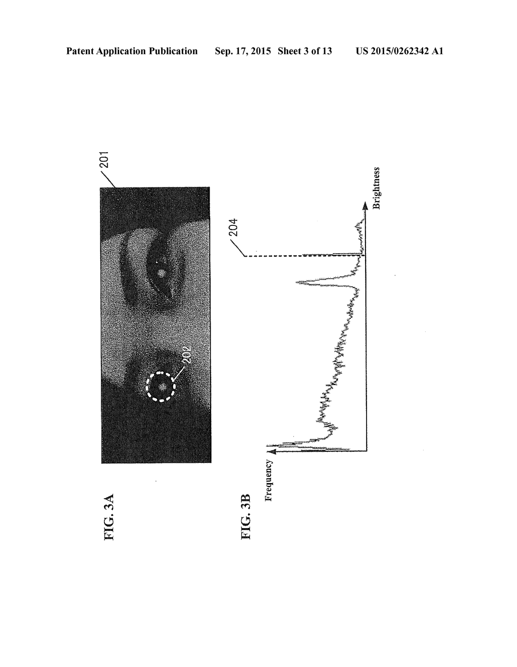 IMAGE PROCESSING APPARATUS AND IMAGE PROCESSING METHOD - diagram, schematic, and image 04