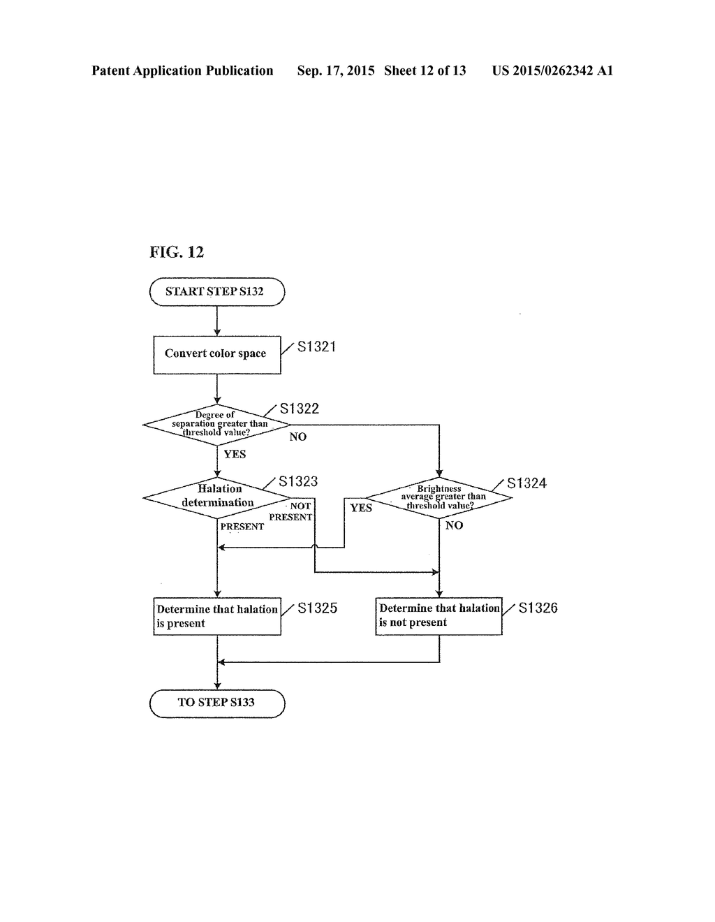 IMAGE PROCESSING APPARATUS AND IMAGE PROCESSING METHOD - diagram, schematic, and image 13