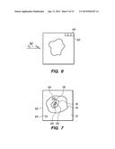 METHOD AND SYSTEM FOR PROCESSING AN IMAGE OF A BIOLOGICAL SPECIMEN diagram and image