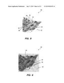 METHOD AND SYSTEM FOR PROCESSING AN IMAGE OF A BIOLOGICAL SPECIMEN diagram and image