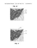 METHOD AND SYSTEM FOR PROCESSING AN IMAGE OF A BIOLOGICAL SPECIMEN diagram and image