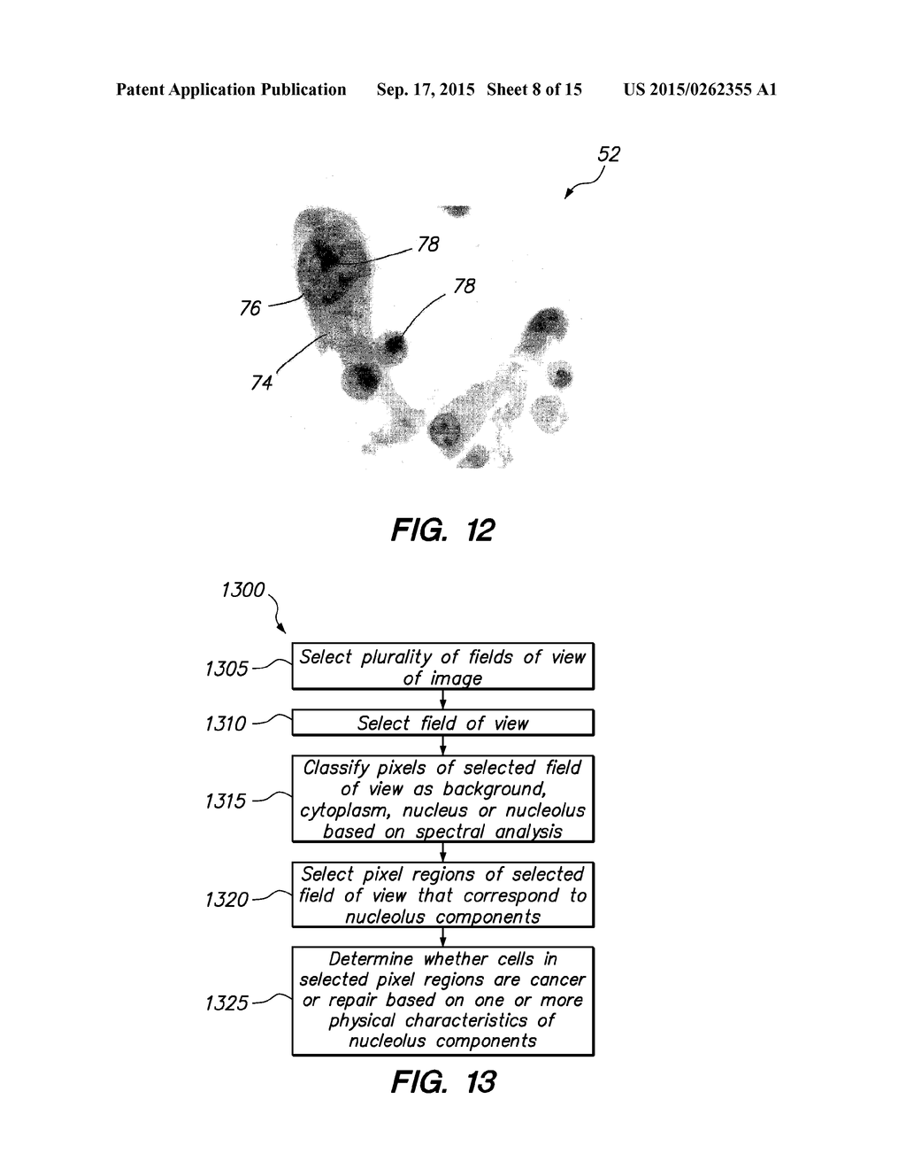 METHOD AND SYSTEM FOR PROCESSING AN IMAGE OF A BIOLOGICAL SPECIMEN - diagram, schematic, and image 09