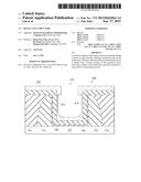 Metal Gate Structure diagram and image