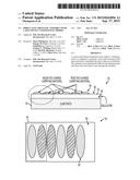 DIRECT ELECTROSTATIC ASSEMBLY WITH CAPACITIVELY COUPLED ELECTRODES diagram and image