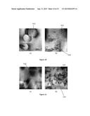 CREATION OF HIGH-PINNING MICROSTRUCTURES IN POST PRODUCTION YBCO COATED     CONDUCTORS diagram and image