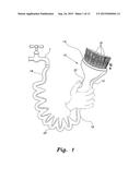 LIQUID-DISPENSING SHAVING BRUSH diagram and image