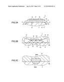 BIOLOGICAL MEASUREMENT APPARATUS AND A BIOLOGICAL MEASUREMENT METHOD diagram and image