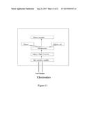 ELECTROCHEMICAL DETERMINATION OF INFECTION diagram and image