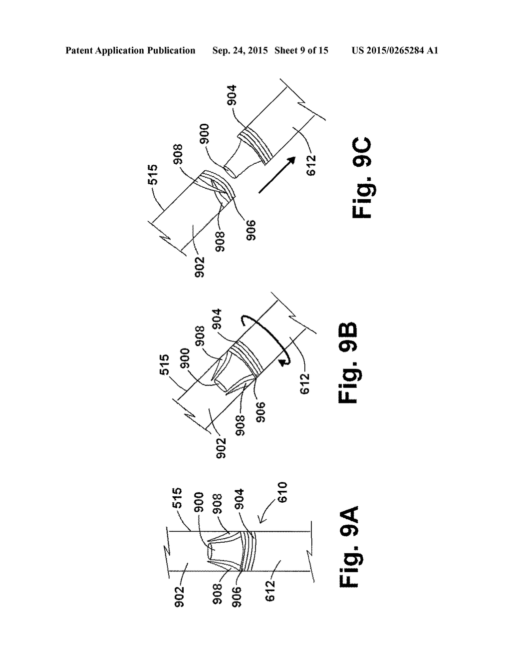 ENDOGRAFT DEVICES AND METHODS TO USE THE SAME - diagram, schematic, and image 10