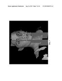 3D DENTOFACIAL SYSTEM AND METHOD diagram and image