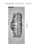 3D DENTOFACIAL SYSTEM AND METHOD diagram and image