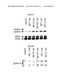 TREATMENT OF DISORDERS ASSOCIATED WITH G PROTEIN-COUPLED RECEPTOR 35     (GPR35) diagram and image