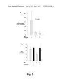 COMBINATION OF AN ANTI-CANCER AGENT SUCH AS A TYROSINEKINASE INHIBITOR AND     A STAT5 ANTAGONIST, PREFERABLY A THIAZOLIDINEDIONE, FOR ELIMINATING     HEMATOLOGIC CANCER STEM CELLS IN VIVO AND FOR PREVENTING HEMATOLOGIC     CANCER RELAPSE diagram and image