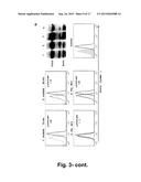 COMBINATION OF AN ANTI-CANCER AGENT SUCH AS A TYROSINEKINASE INHIBITOR AND     A STAT5 ANTAGONIST, PREFERABLY A THIAZOLIDINEDIONE, FOR ELIMINATING     HEMATOLOGIC CANCER STEM CELLS IN VIVO AND FOR PREVENTING HEMATOLOGIC     CANCER RELAPSE diagram and image