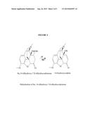 Oxycodone Compositions diagram and image