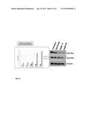 Compounds for Treating Rac-GTPase Mediated Disorder diagram and image