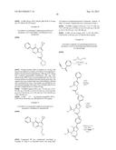 PYRAZOLOPYRIDAZINES AND METHODS FOR TREATING RETINAL-DEGENERATIVE DISEASES     AND HEARING LOSS ASSOCIATED WITH USHER SYNDROME diagram and image