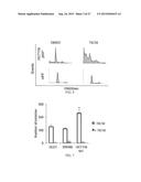 SMALL MOLECULE TRAIL GENE INDUCTION BY NORMAL AND TUMOR CELLS AS AN     ANTICANCER THERAPY diagram and image