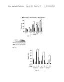 SMALL MOLECULE TRAIL GENE INDUCTION BY NORMAL AND TUMOR CELLS AS AN     ANTICANCER THERAPY diagram and image