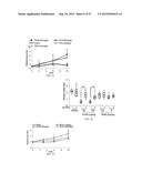 SMALL MOLECULE TRAIL GENE INDUCTION BY NORMAL AND TUMOR CELLS AS AN     ANTICANCER THERAPY diagram and image