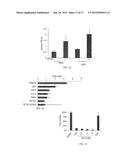 SMALL MOLECULE TRAIL GENE INDUCTION BY NORMAL AND TUMOR CELLS AS AN     ANTICANCER THERAPY diagram and image