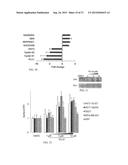 SMALL MOLECULE TRAIL GENE INDUCTION BY NORMAL AND TUMOR CELLS AS AN     ANTICANCER THERAPY diagram and image