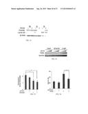 SMALL MOLECULE TRAIL GENE INDUCTION BY NORMAL AND TUMOR CELLS AS AN     ANTICANCER THERAPY diagram and image